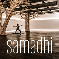 Samadhi (Yoga)